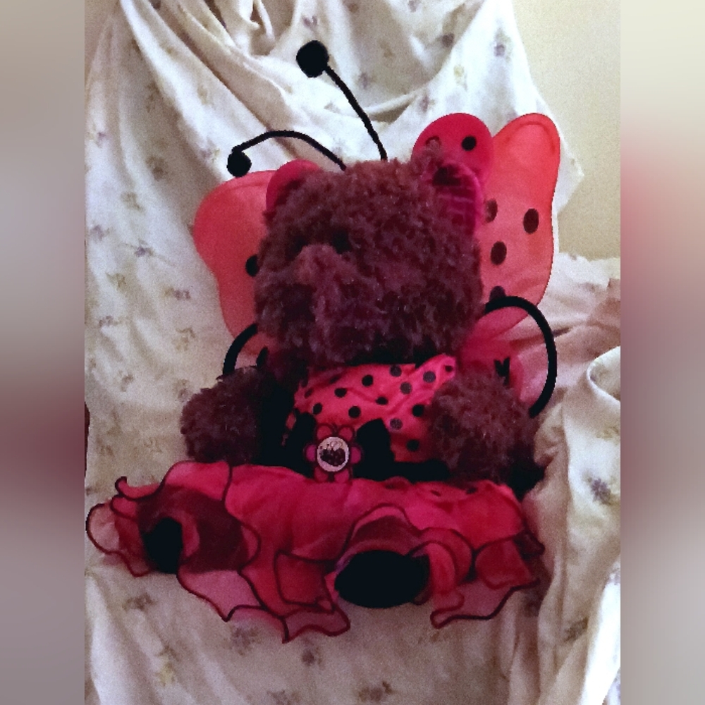 Fancy Ladybug - Picture 3 of 9